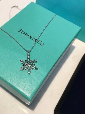 Tiffany & Co. necklace